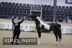 25R13_04212 thumbnail