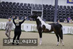 25R13_04213 thumbnail