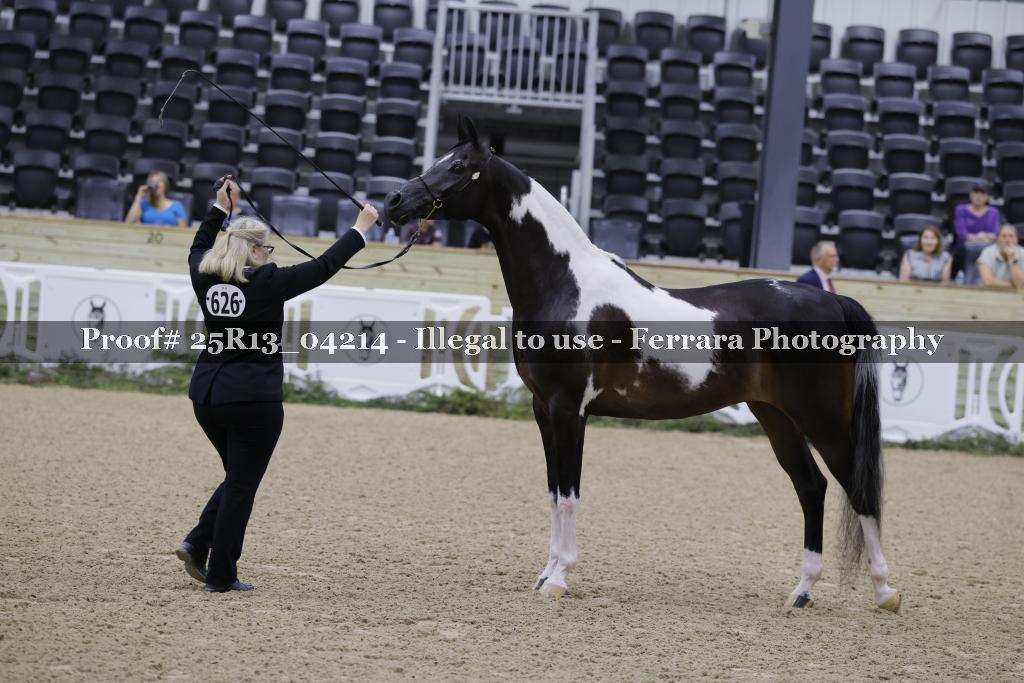 Proof Number 25R13_04214