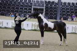 25R13_04214 thumbnail
