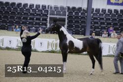 25R13_04215 thumbnail
