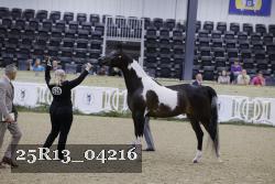 25R13_04216 thumbnail