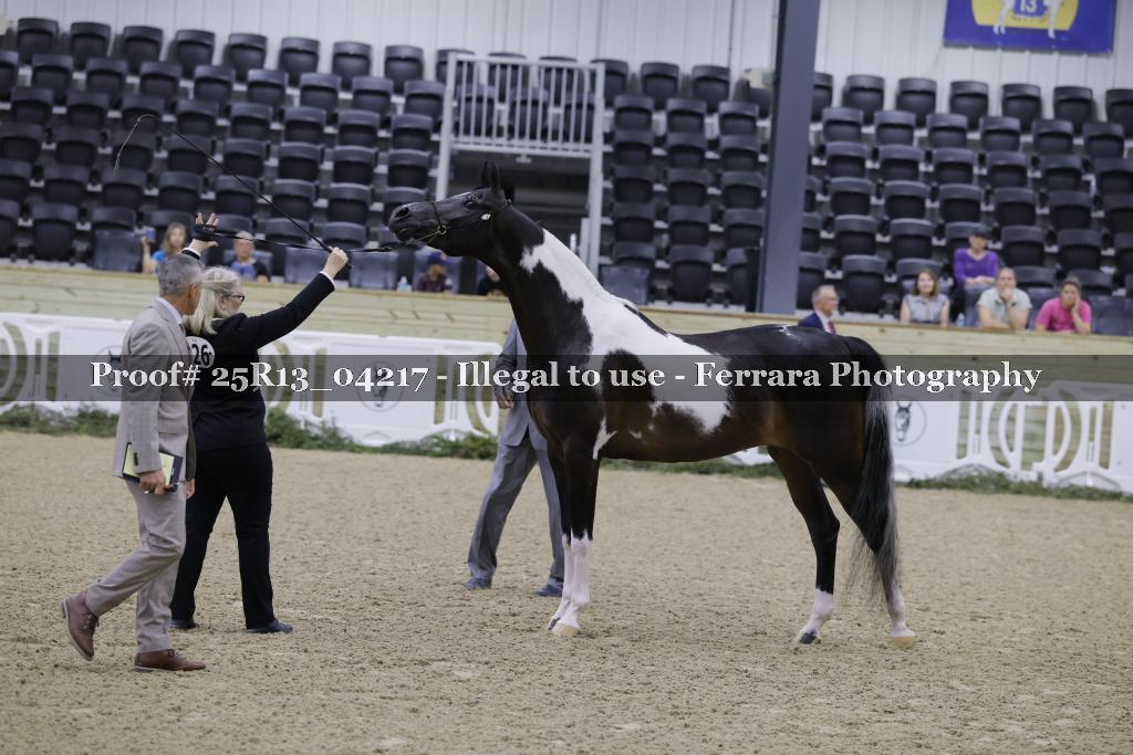 Proof Number 25R13_04217