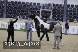 25R13_04218 thumbnail