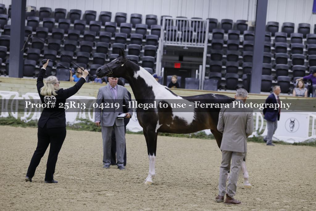 Proof Number 25R13_04219