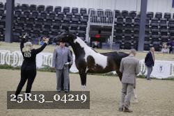 25R13_04219 thumbnail