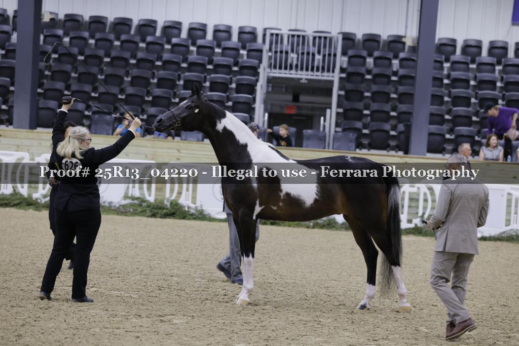 Proof Number 25R13_04220