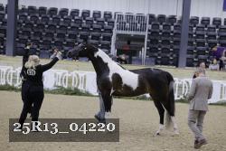 25R13_04220 thumbnail