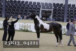 25R13_04221 thumbnail