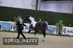 25R13_04222 thumbnail
