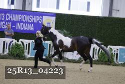 25R13_04223 thumbnail