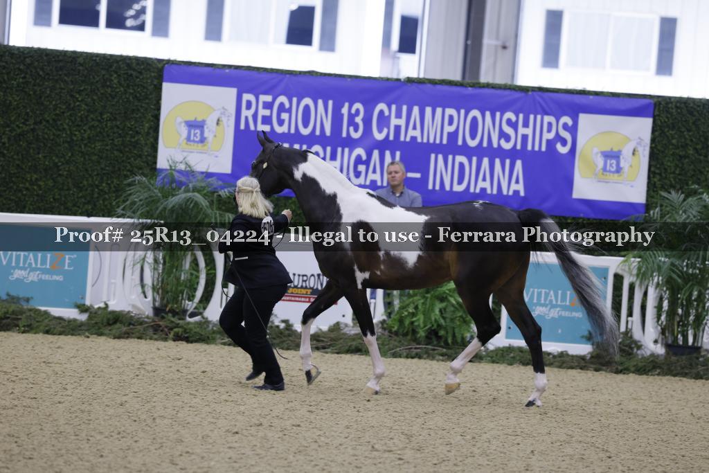 Proof Number 25R13_04224