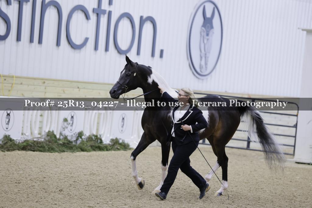 Proof Number 25R13_04227