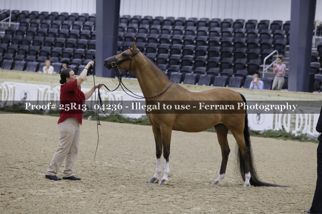 Proof Number 25R13_04236