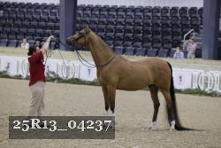25R13_04237 thumbnail