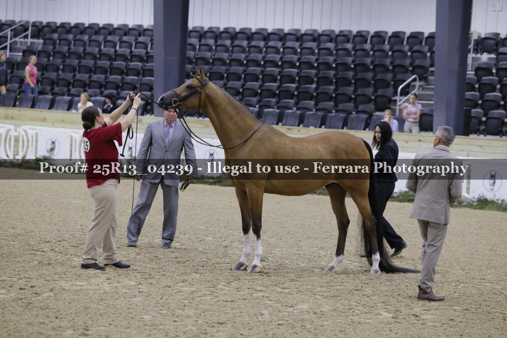 Proof Number 25R13_04239