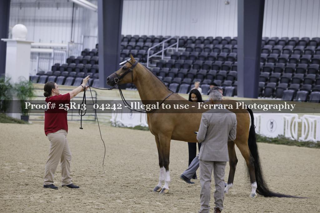Proof Number 25R13_04242
