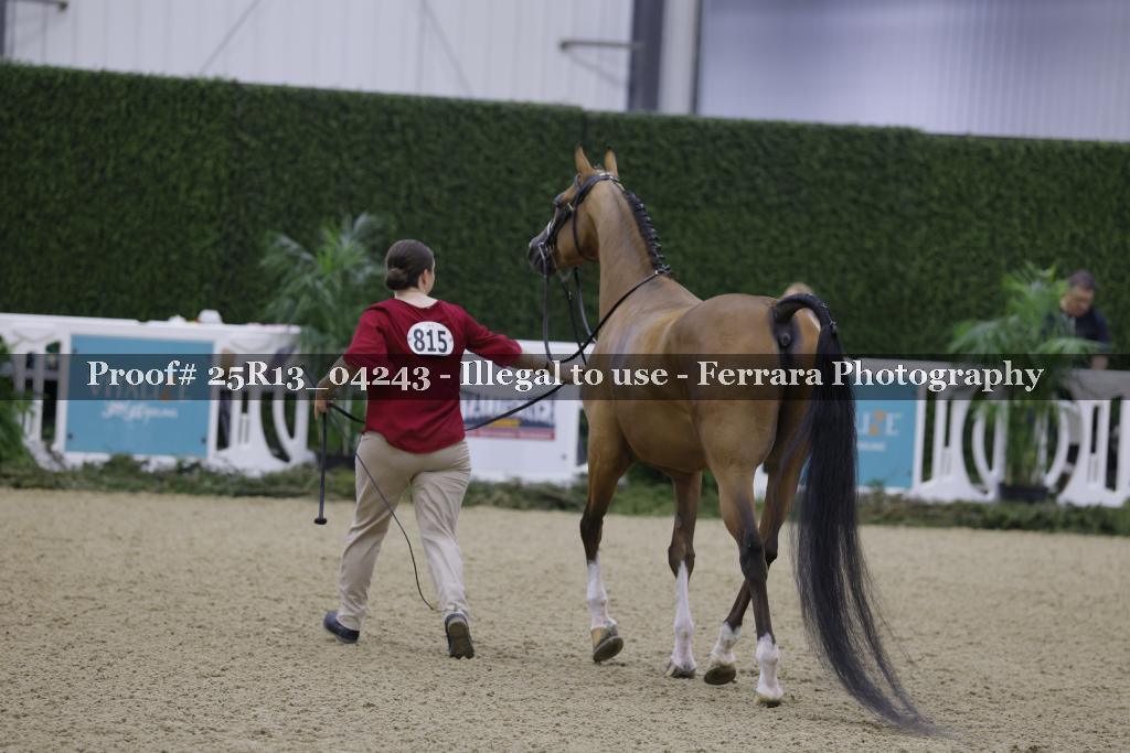 Proof Number 25R13_04243