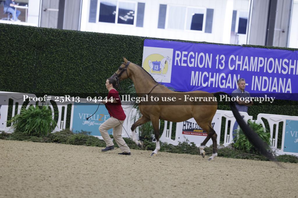 Proof Number 25R13_04244