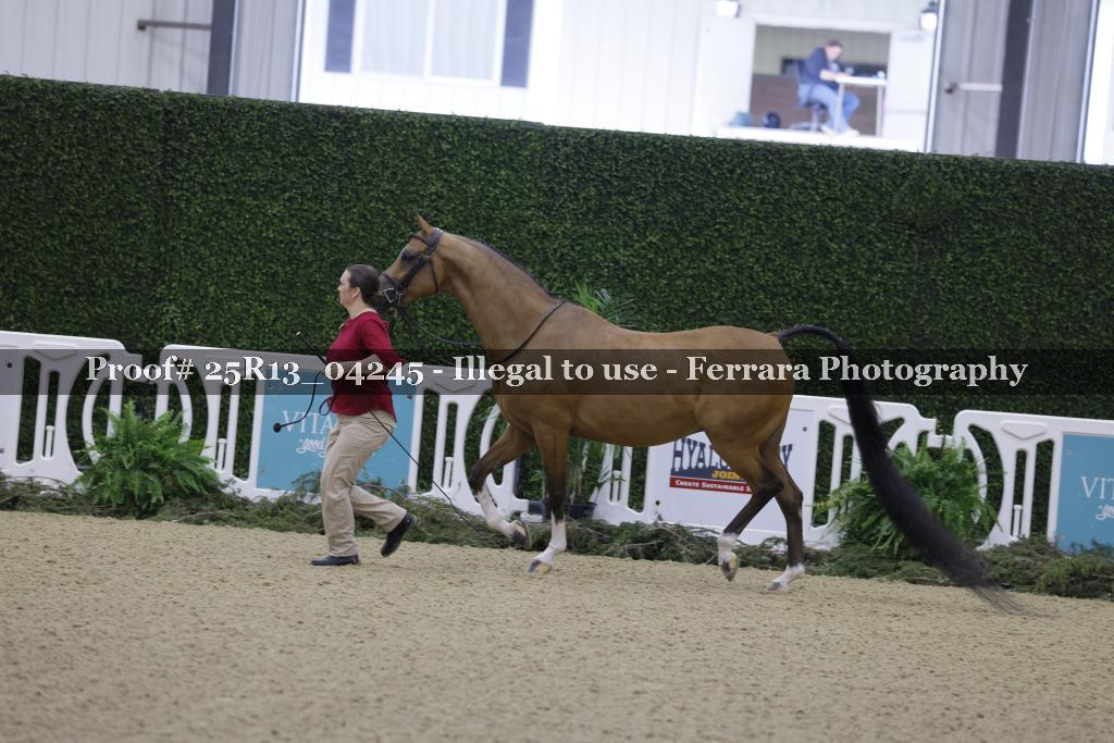 Proof Number 25R13_04245