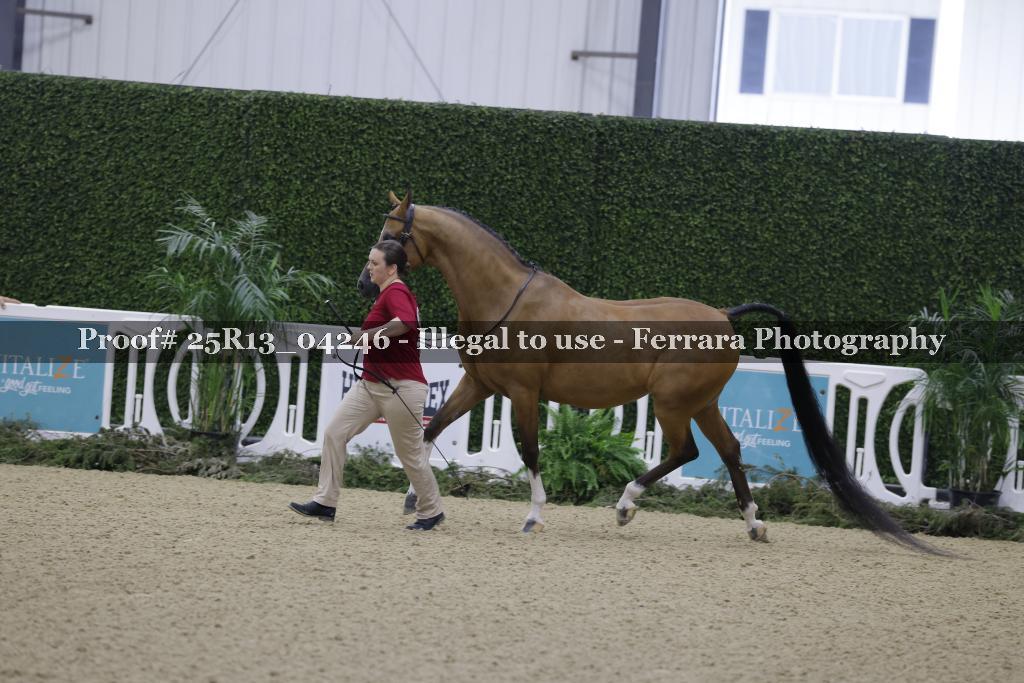 Proof Number 25R13_04246