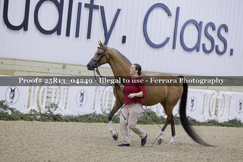 Proof Number 25R13_04249