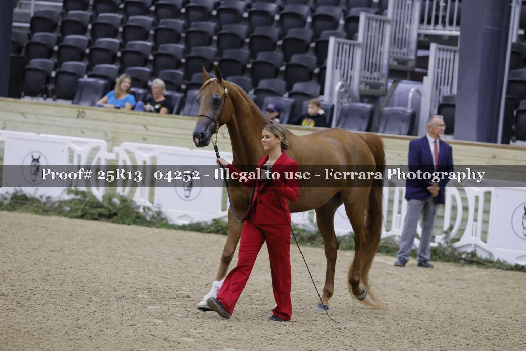 Proof Number 25R13_04252