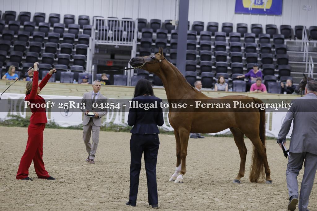 Proof Number 25R13_04254
