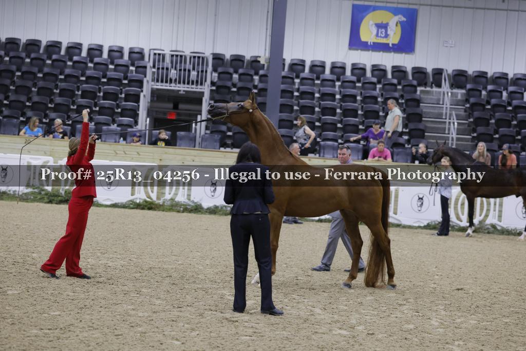 Proof Number 25R13_04256