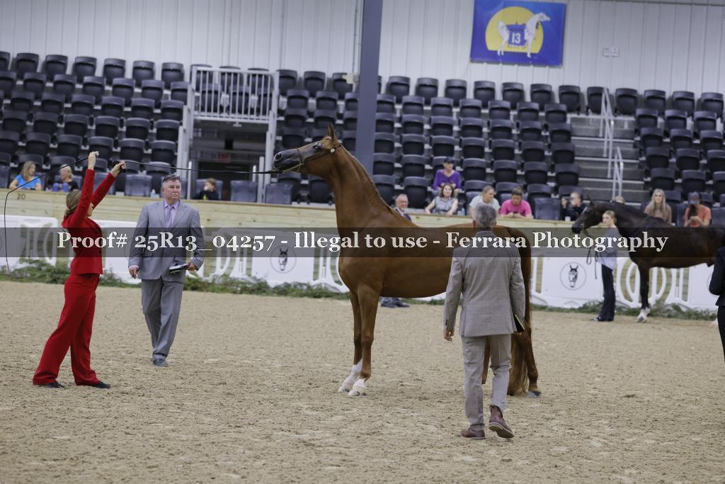 Proof Number 25R13_04257