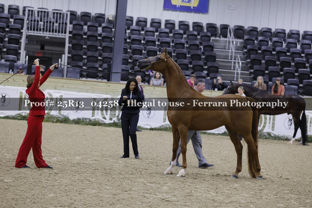 Proof Number 25R13_04258