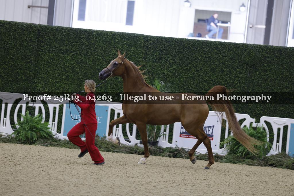 Proof Number 25R13_04263