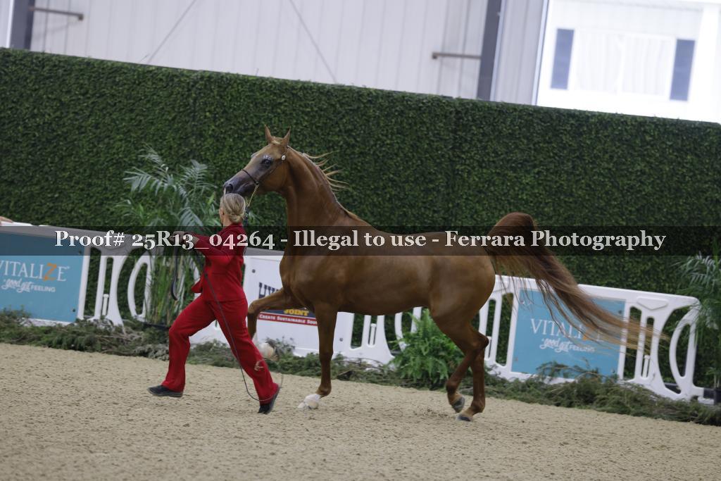 Proof Number 25R13_04264