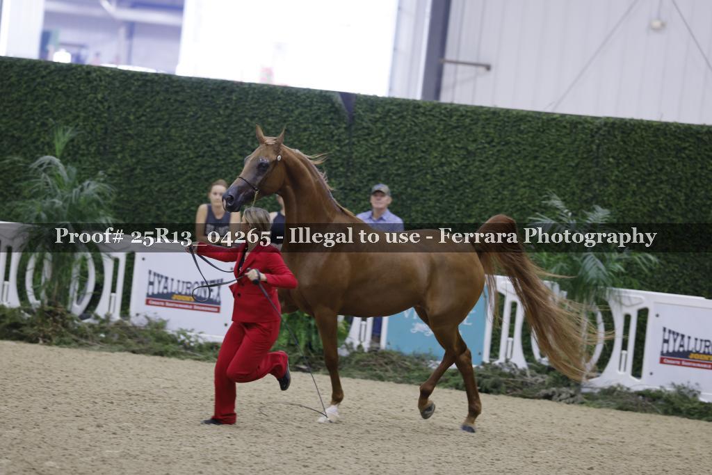 Proof Number 25R13_04265