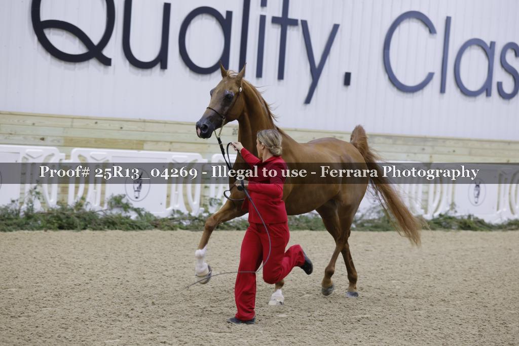 Proof Number 25R13_04269