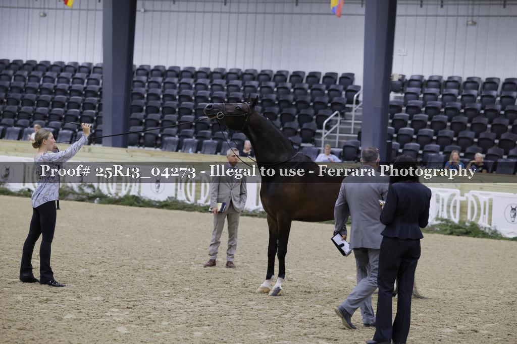 Proof Number 25R13_04273