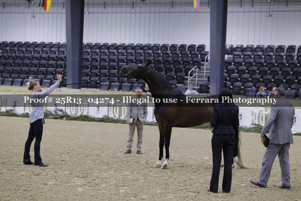 Proof Number 25R13_04274