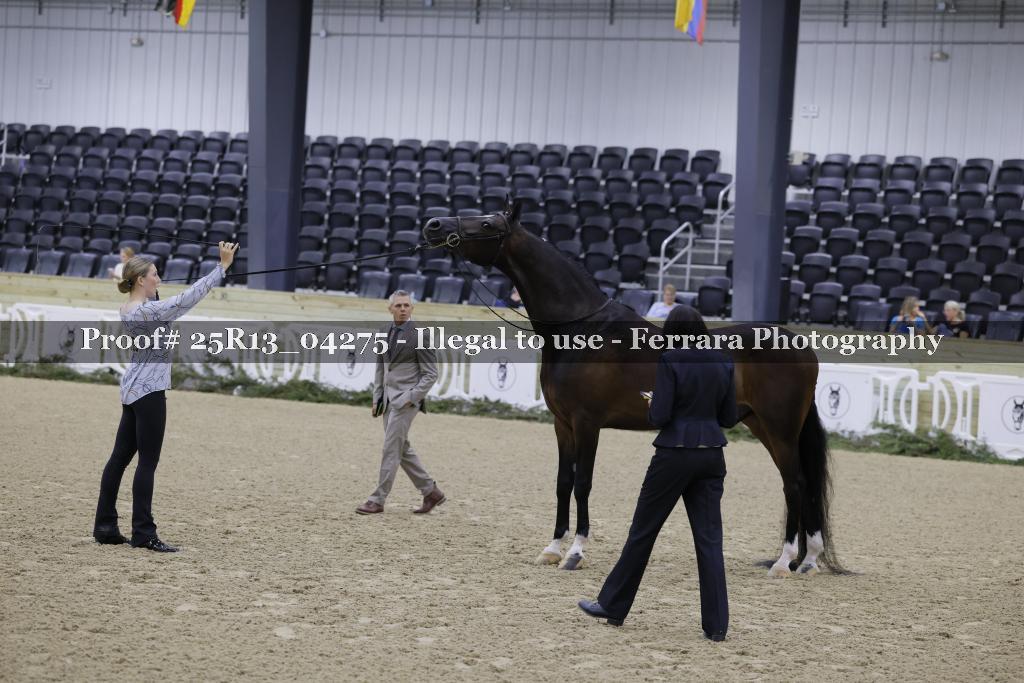 Proof Number 25R13_04275