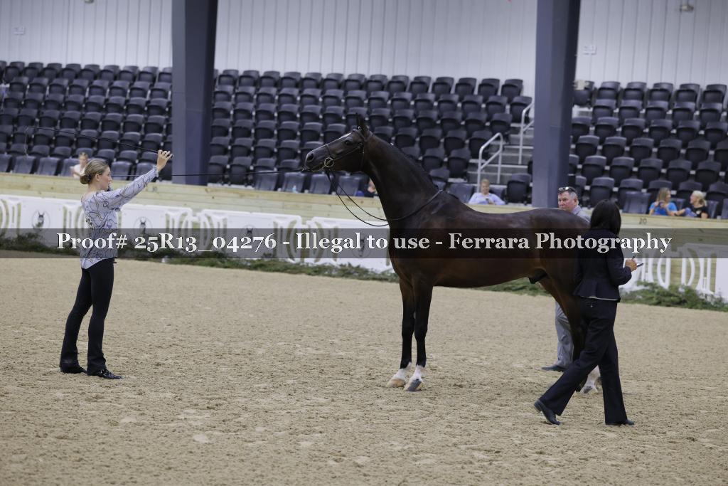 Proof Number 25R13_04276
