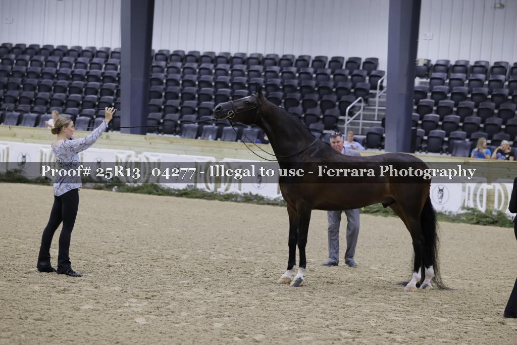 Proof Number 25R13_04277