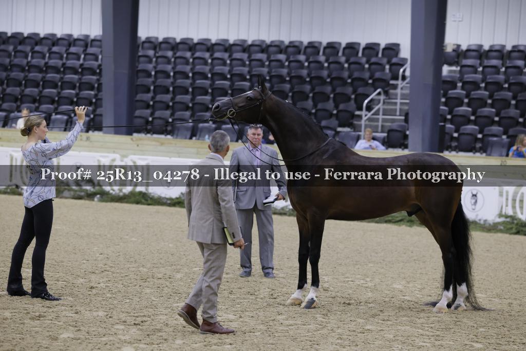 Proof Number 25R13_04278