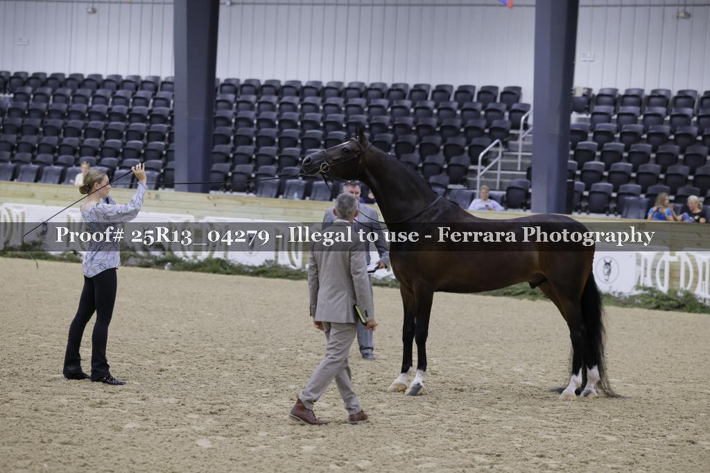 Proof Number 25R13_04279