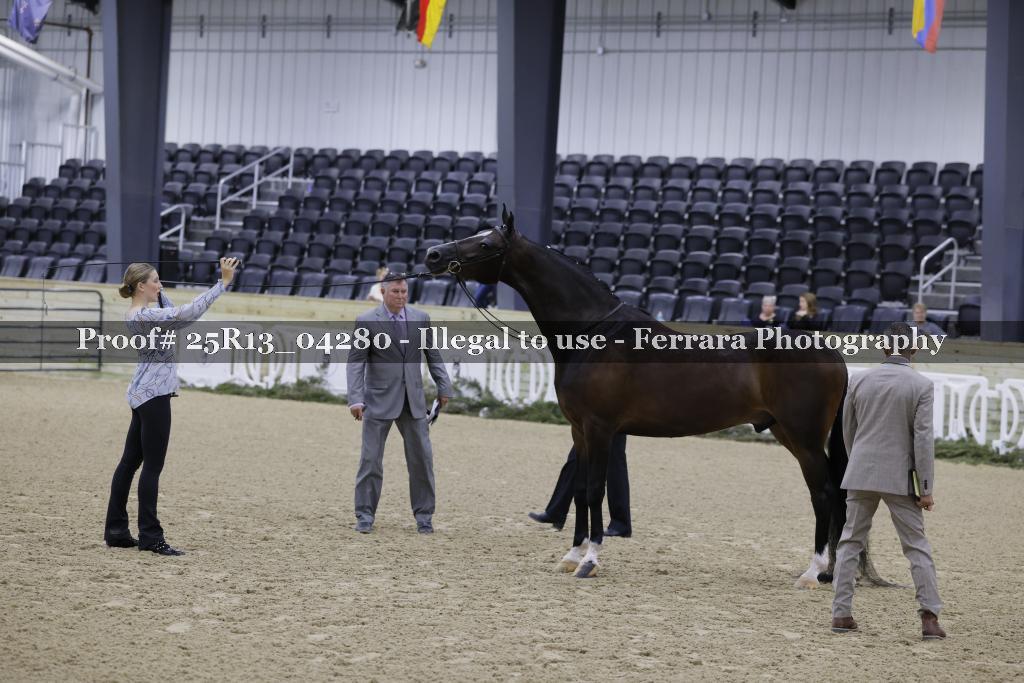 Proof Number 25R13_04280