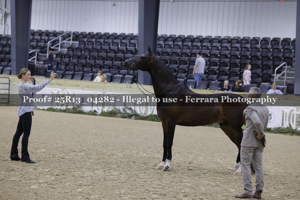 Proof Number 25R13_04282