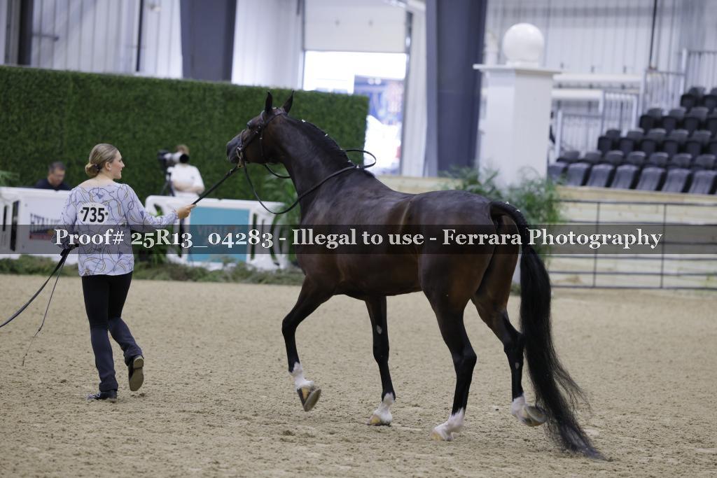 Proof Number 25R13_04283
