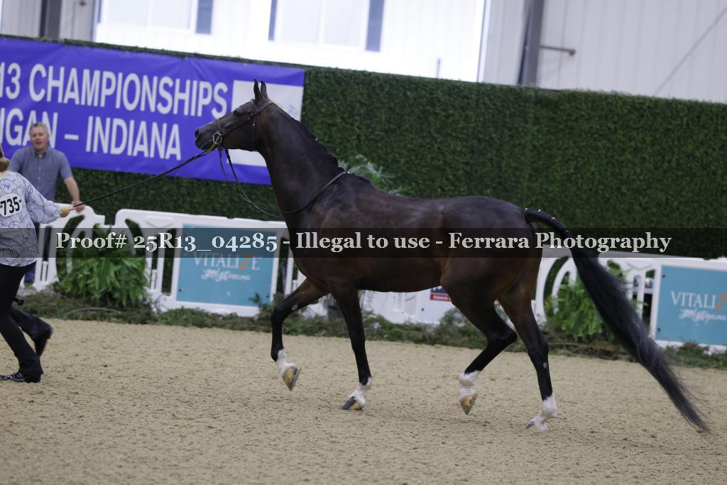 Proof Number 25R13_04285
