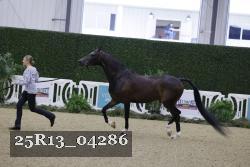 25R13_04286 thumbnail