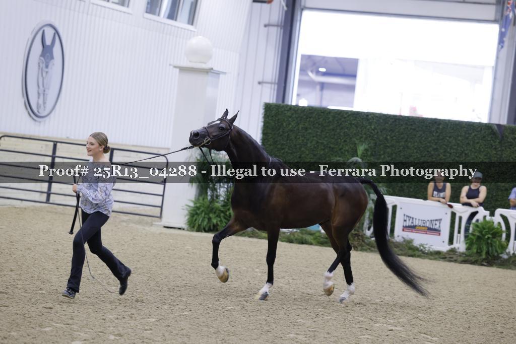 Proof Number 25R13_04288