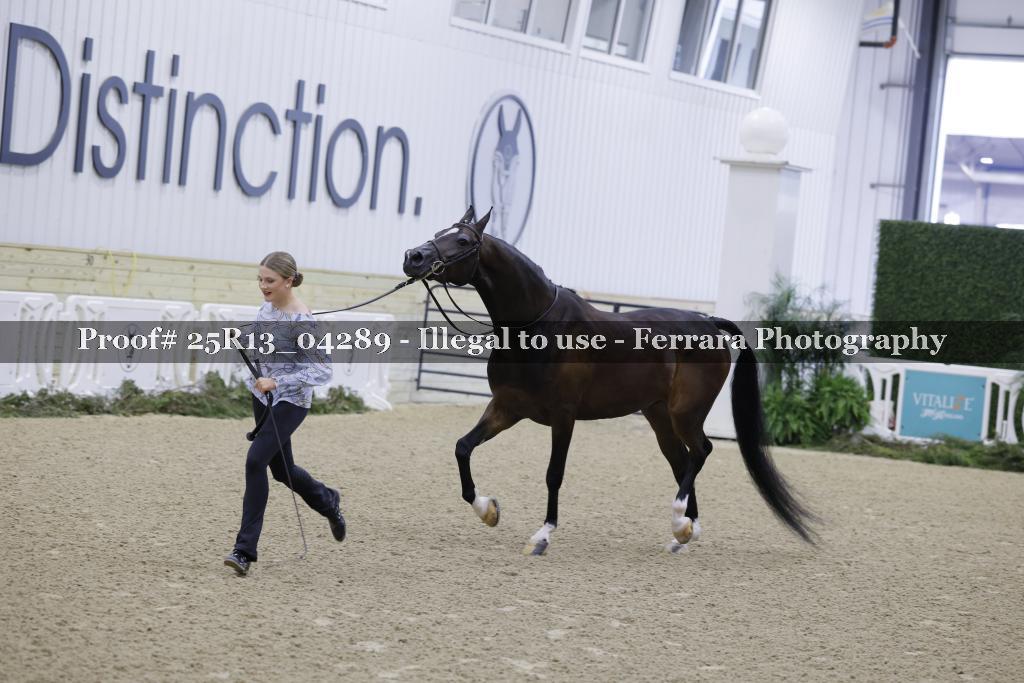 Proof Number 25R13_04289