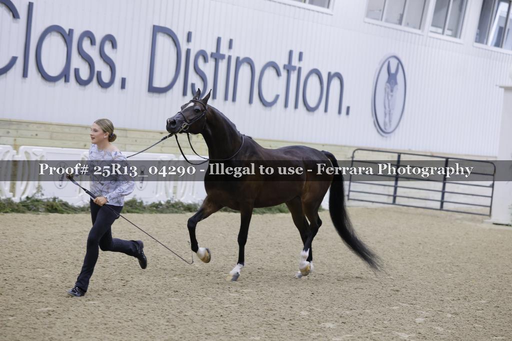 Proof Number 25R13_04290